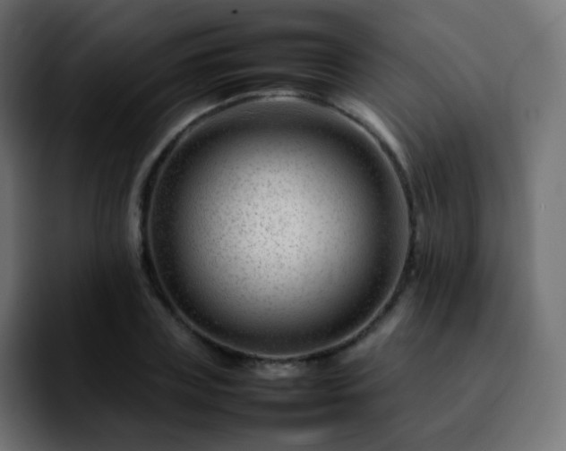 X0000092230835200709211024