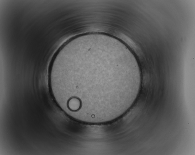 X0000092230836200709211024