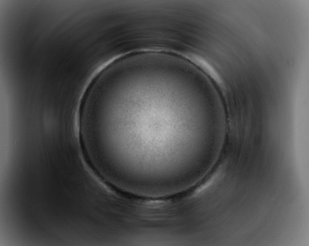 X0000092230839200709211024