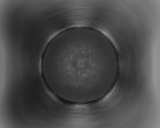 X0000092230842200709211024