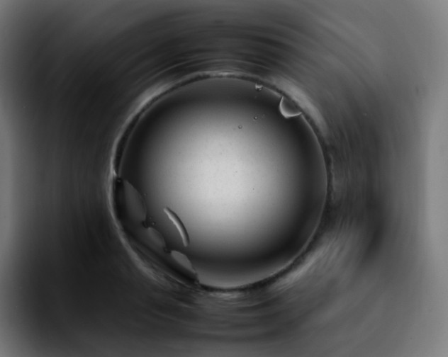 X0000092230845200709211024