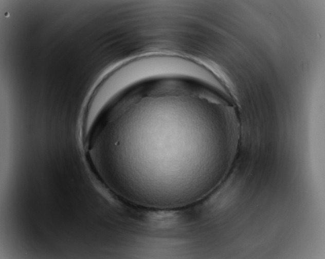 X0000092230846200709211024