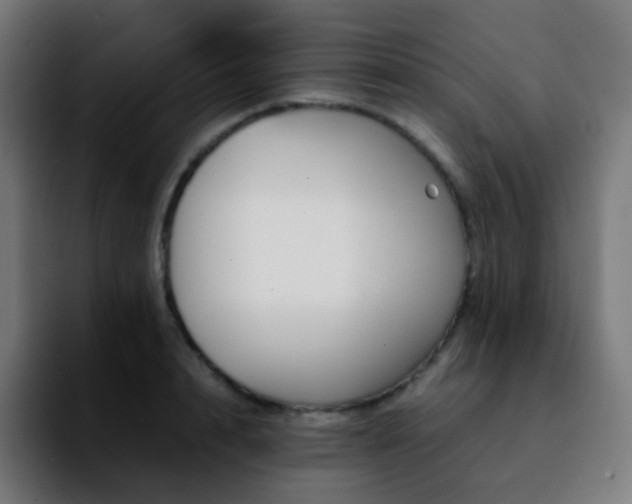 X0000092230848200709211024