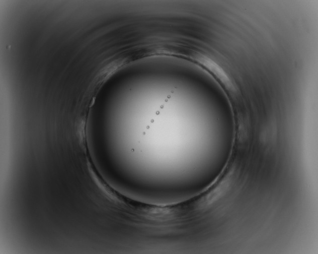 X0000092230849200709211024