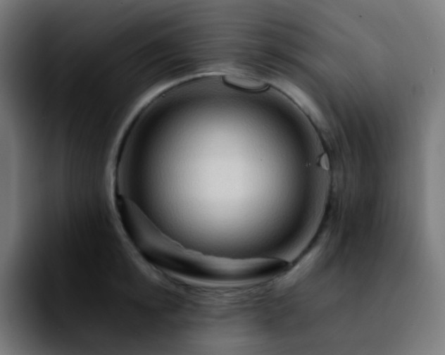 X0000092230854200709211024