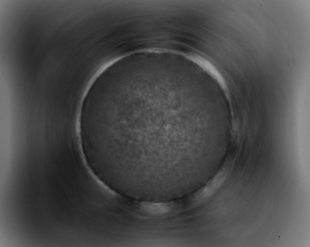X0000092230855200709211024