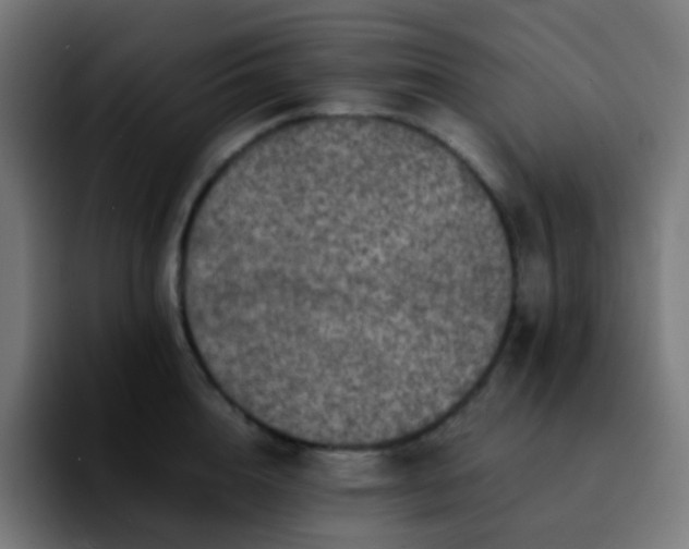 X0000092230856200709211024
