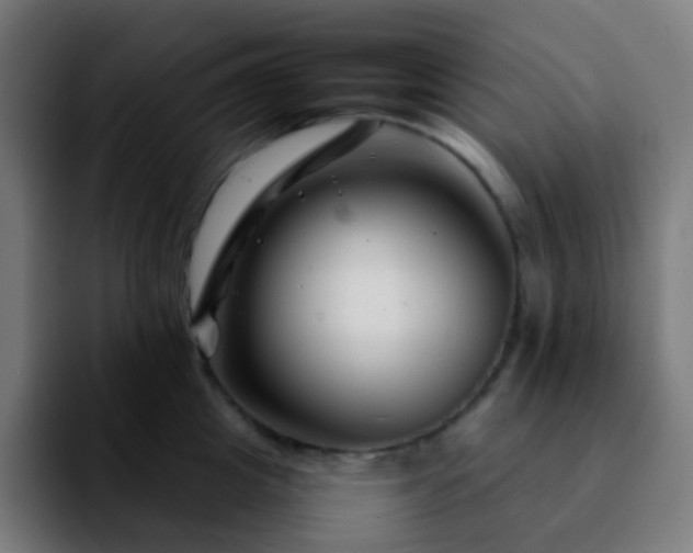 X0000092230857200709211024