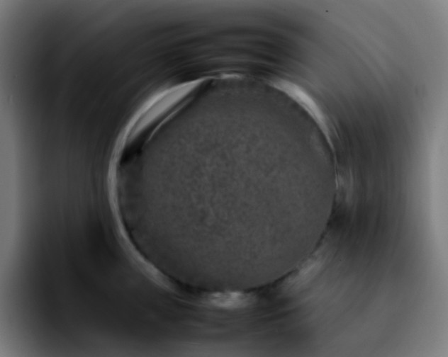 X0000092230859200709211024