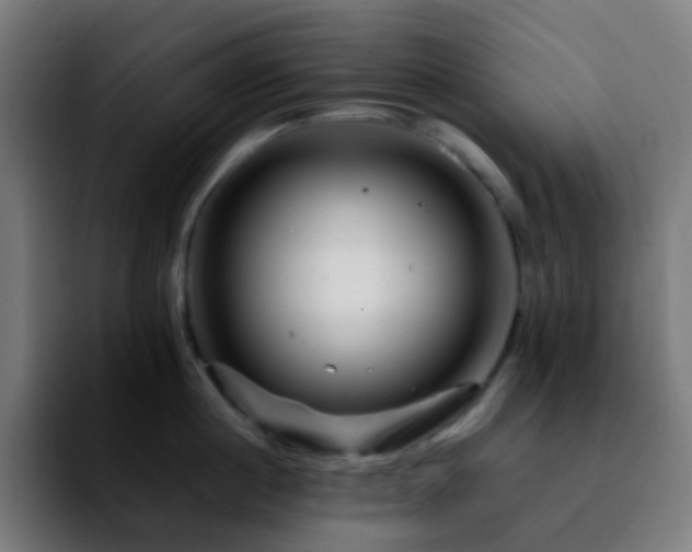 X0000092230860200709211024