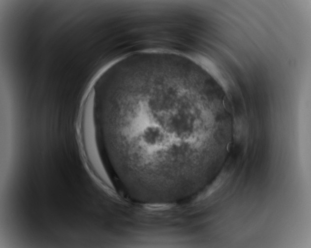 X0000092230863200709211024