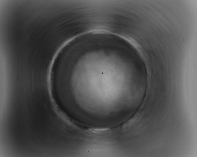 X0000092230864200709211024