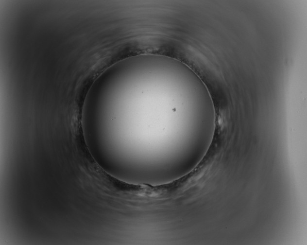 X0000092230867200709211024