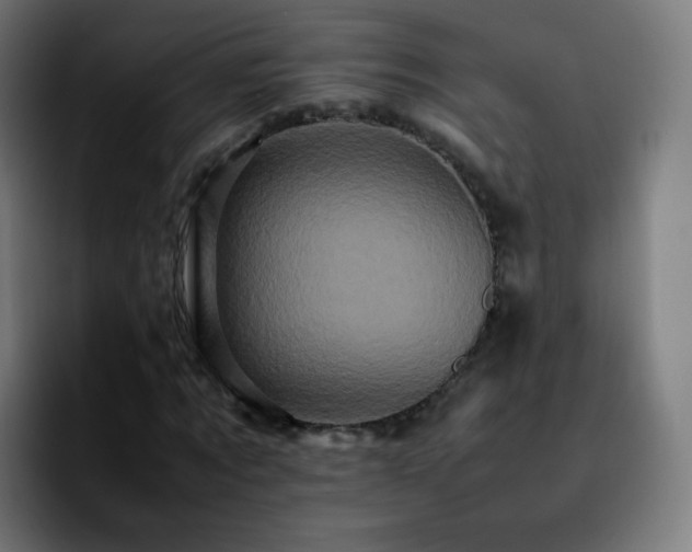 X0000092230869200709211024