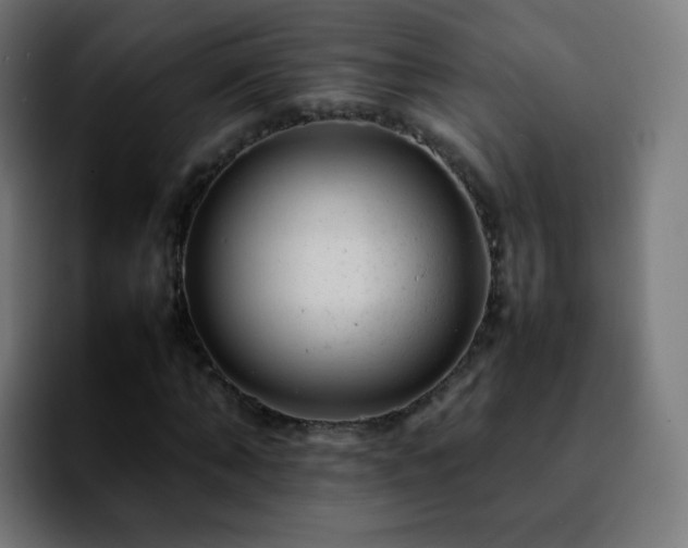 X0000092230870200709211024