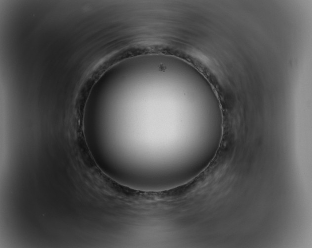 X0000092230871200709211024