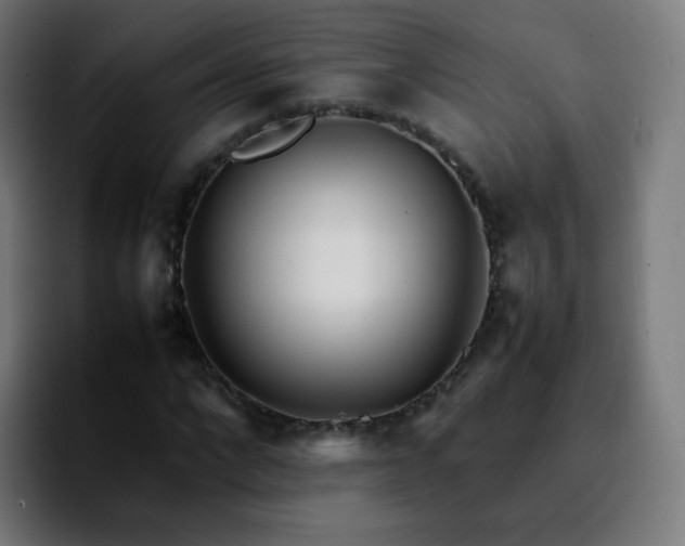 X0000092230872200709211024