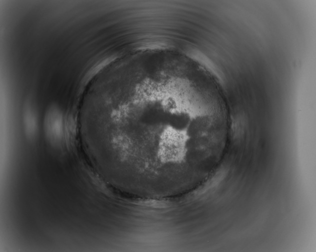 X0000092230874200709211024