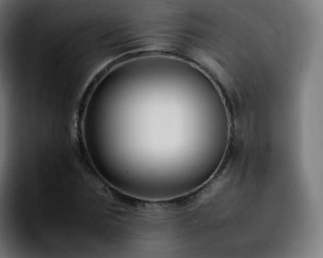 X0000092230875200709211024