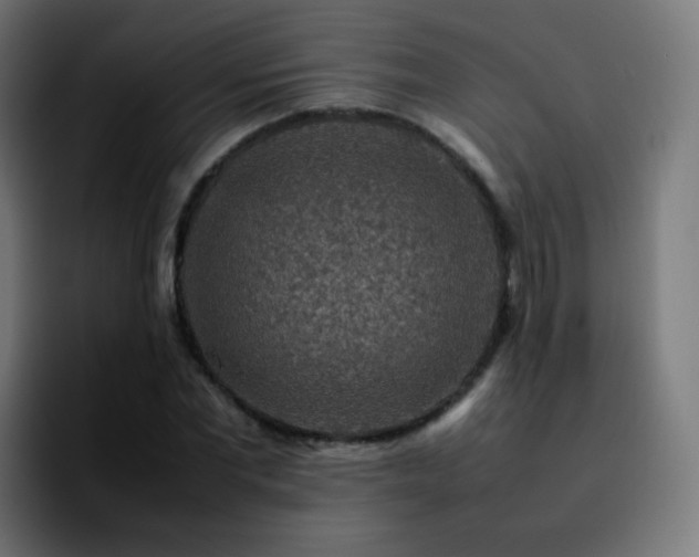 X0000092230877200709211024