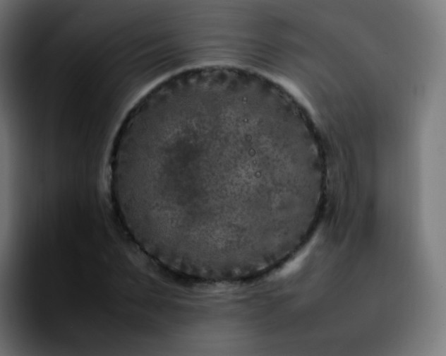 X0000092230879200709211024