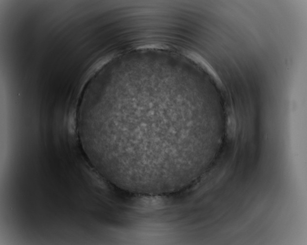 X0000092230882200709211023