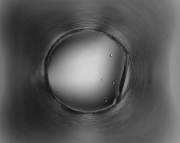 X0000092230883200709211023
