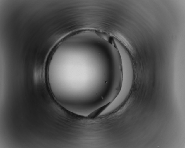 X0000092230884200709211023