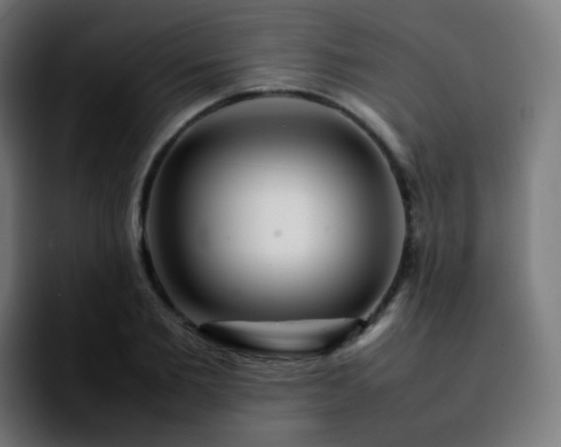 X0000092230885200709211023