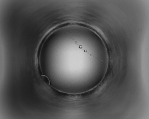 X0000092230887200709211023