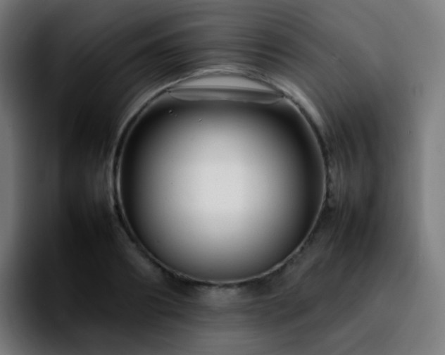 X0000092230890200709211023