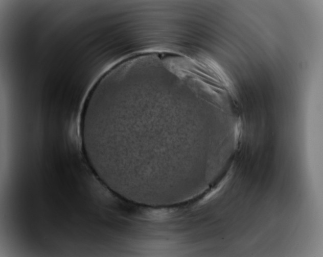 X0000092230892200709211023