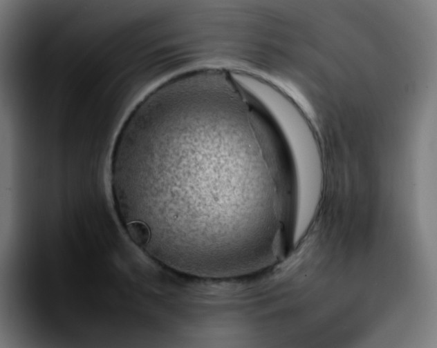X0000092230895200709211023