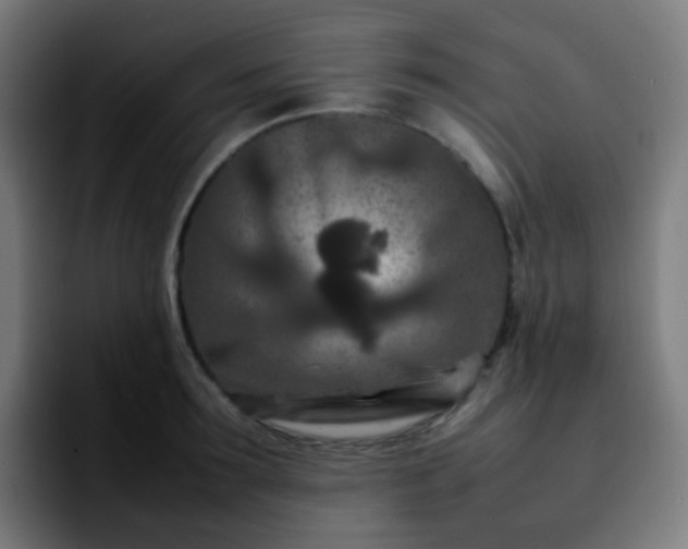 X0000092230899200709211023