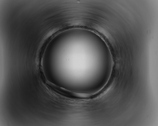 X0000092230922200709211023