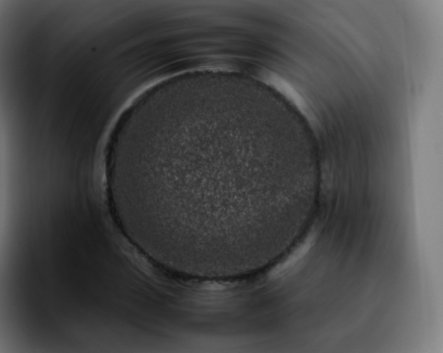 X0000092230923200709211023