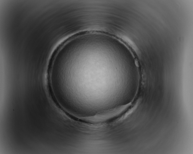 X0000092230928200709211023