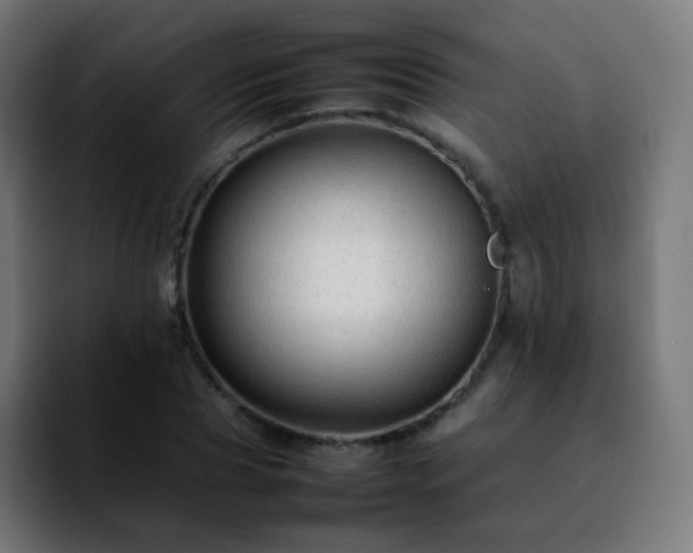 X0000092230929200709211023