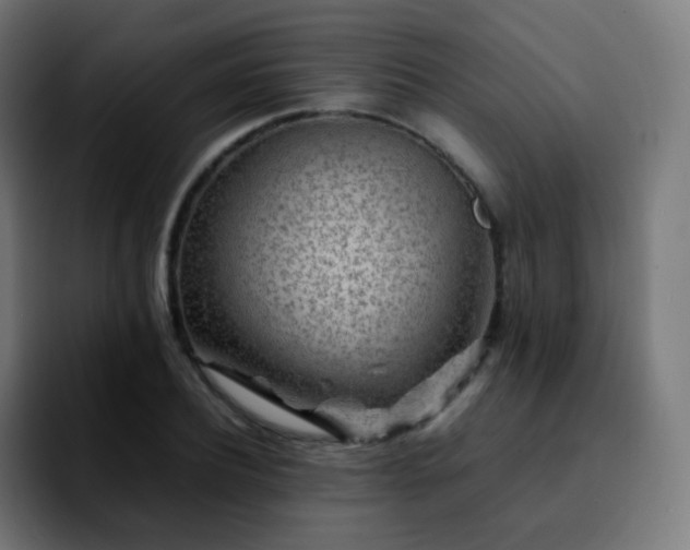 X0000092230932200709211023