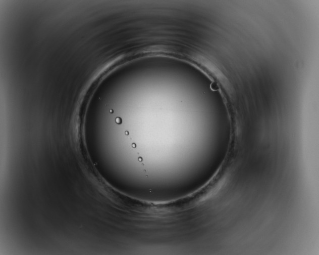 X0000092230933200709211023