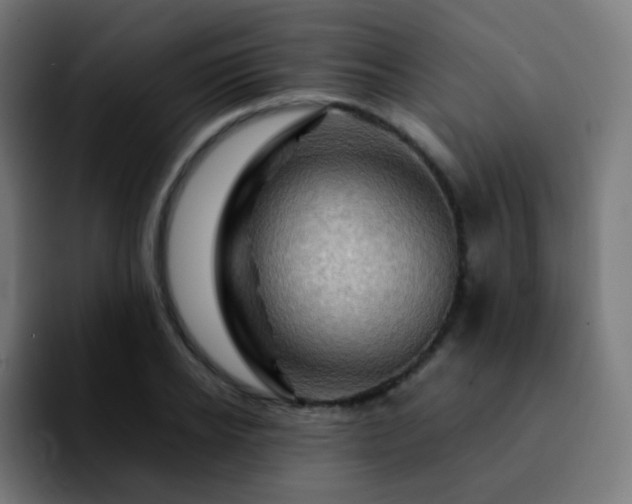 X0000092230934200709211023