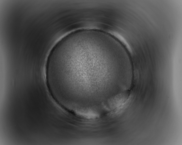X0000092230935200709211023