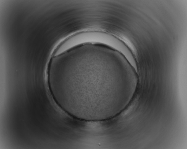 X0000092230944200709211023