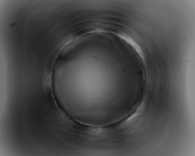 X0000092230945200709211023