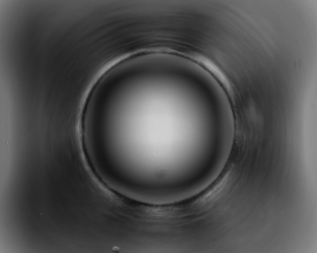X0000092230951200709211023