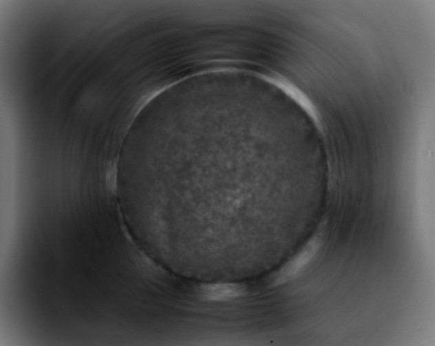X0000092230953200709211023