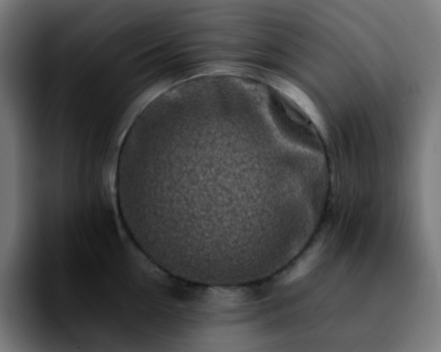 X0000092230954200709211023
