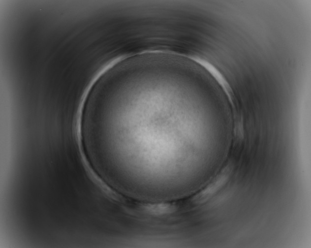 X0000092230957200709211023