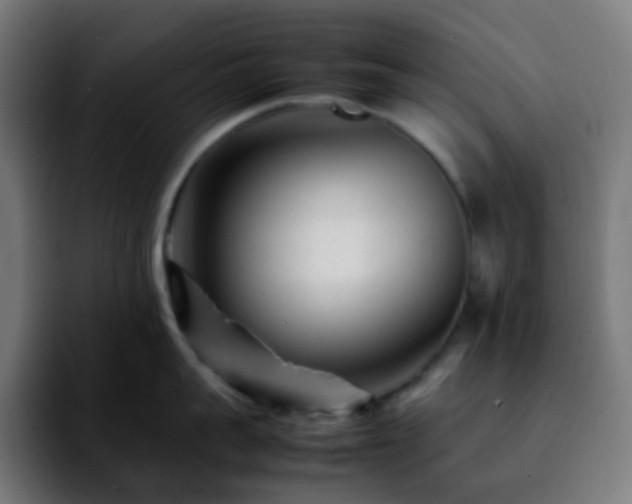 X0000092230959200709211023