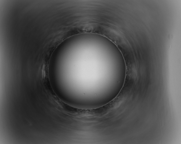 X0000092230962200709211023